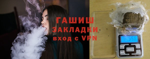 индика Гусь-Хрустальный